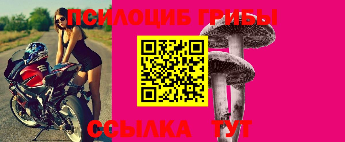Холмск  магазин продажи наркотиков  Вход с VPN  Псилоцибиновые грибы Psilocybine cubensis 